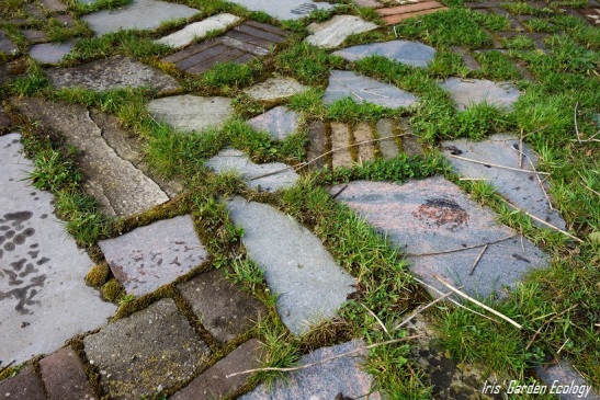 Verrassend 16 Ideeën voor hergebruik van tuintegels en stenen | Iris' Garden TC-91